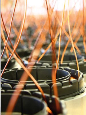 Motor Roger Brushless de uso continuo para alto tránsito en barrios cerrados y empresas.